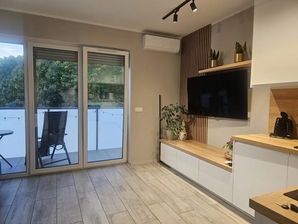 TV and multimedia, air conditioner