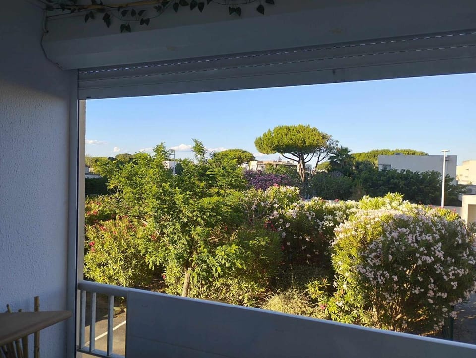 Garden view