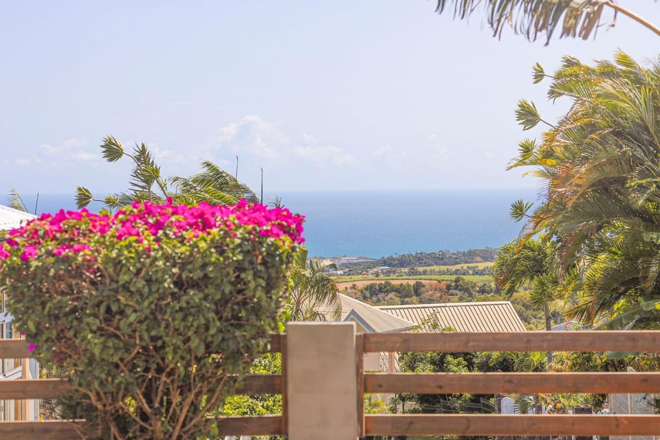Natural landscape, Garden, Garden view, Sea view