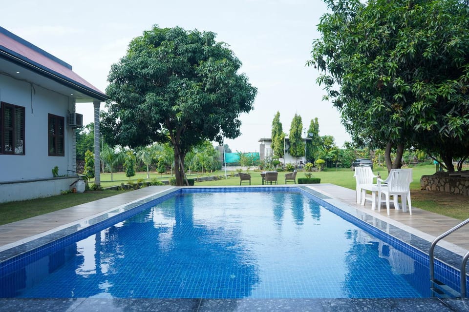 Spring, Day, Garden, Garden view, Pool view, Swimming pool, sunbed