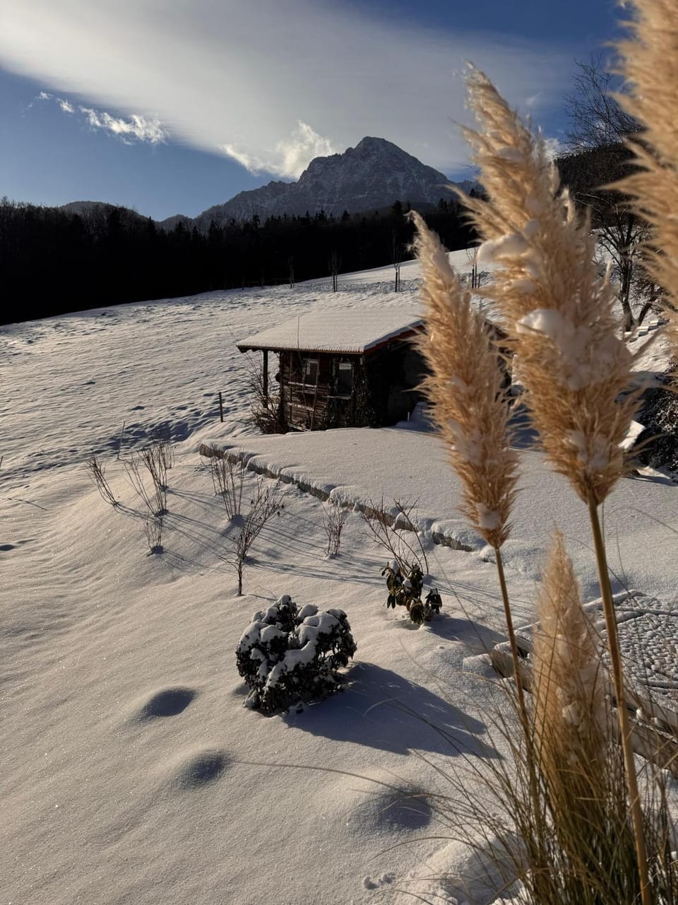 Winter, Mountain view