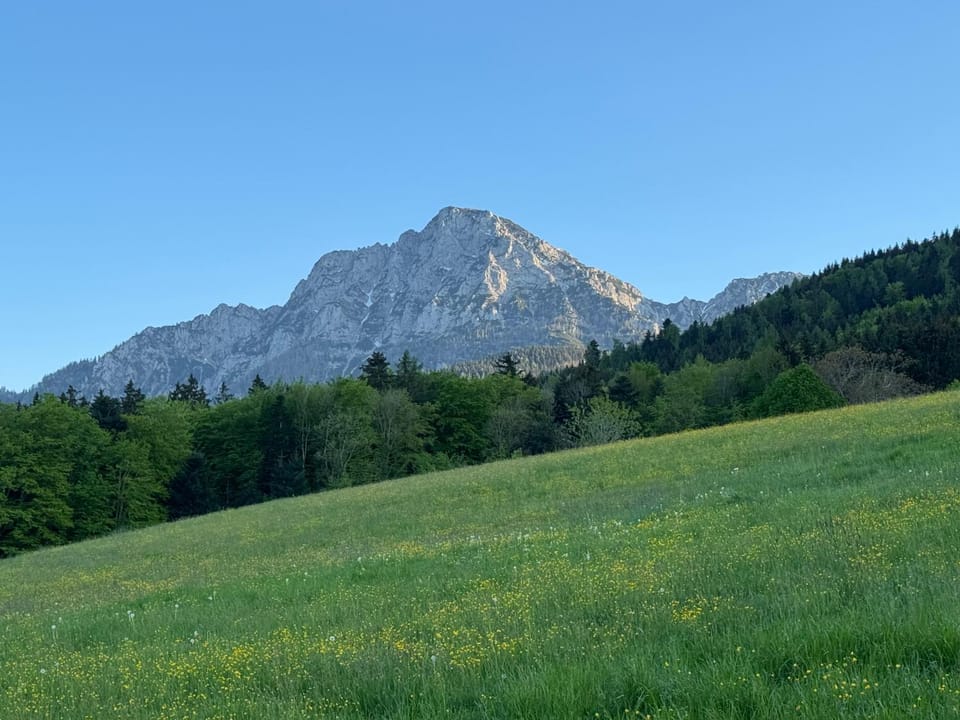 Spring, View (from property/room), Mountain view
