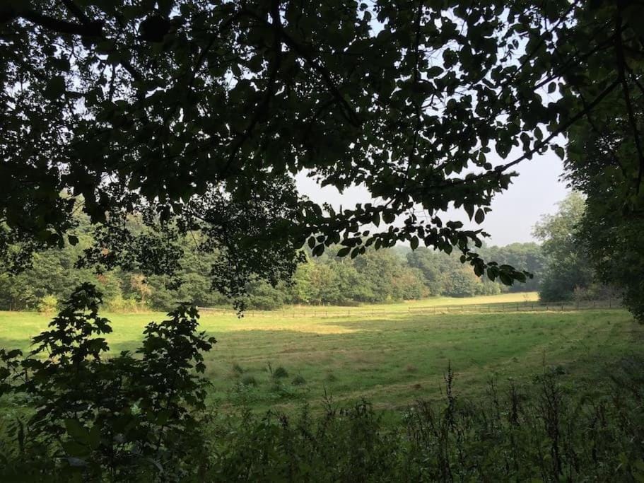 The Little Lodge House Apartment in Welwyn Garden City