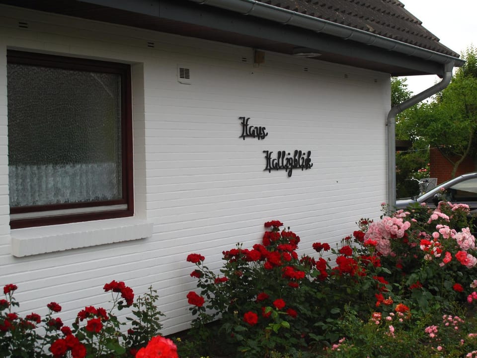 Haus Halligblick Apartment in Dagebüll