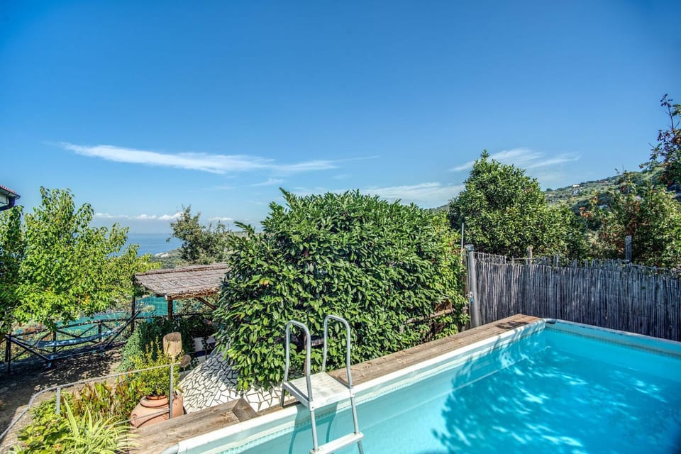 Spring, Winter, Summer, Autumn, Swimming pool