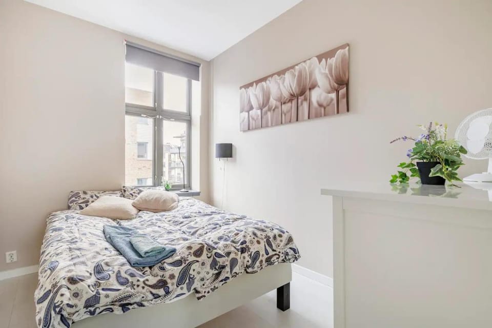 Central Oslo &Close to Central Station Apartment in Oslo