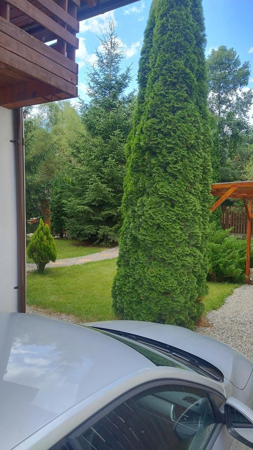 Colt de rai House in Bran