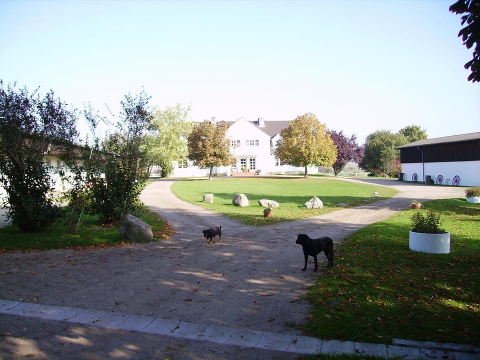 Day, Garden