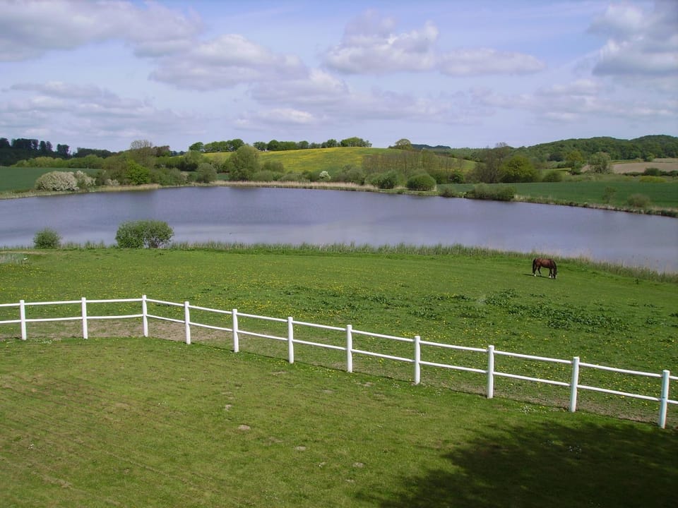 Day, Natural landscape