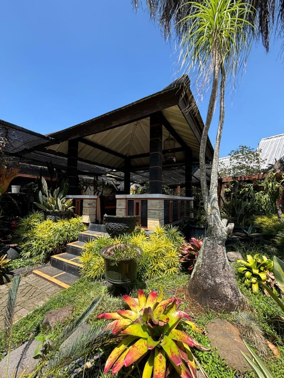Property building, Day, Garden, Garden view