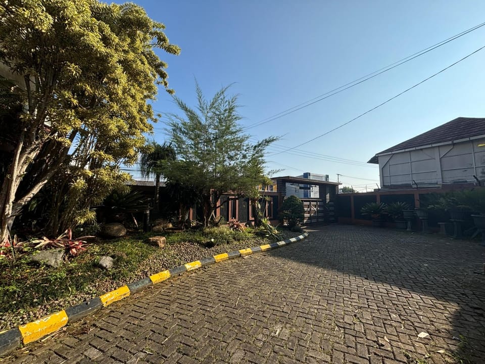 Day, Garden, Garden, Garden view