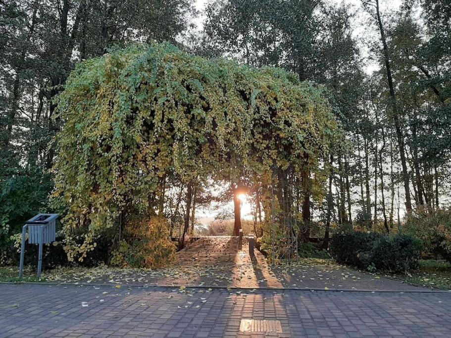 Lake View House WiFi Free Parking Villa in West Pomeranian Voivodeship, Poland