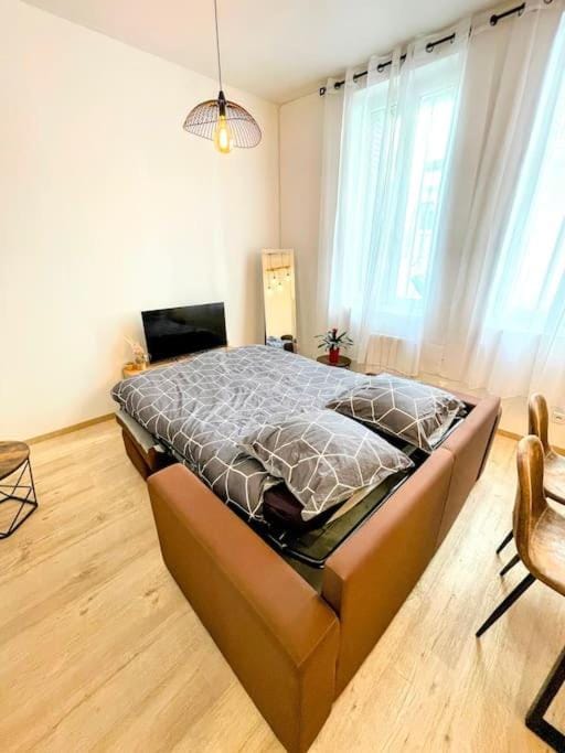 Bel appartement Béziers - Plain-pied - Centre - IUT Apartment in Béziers