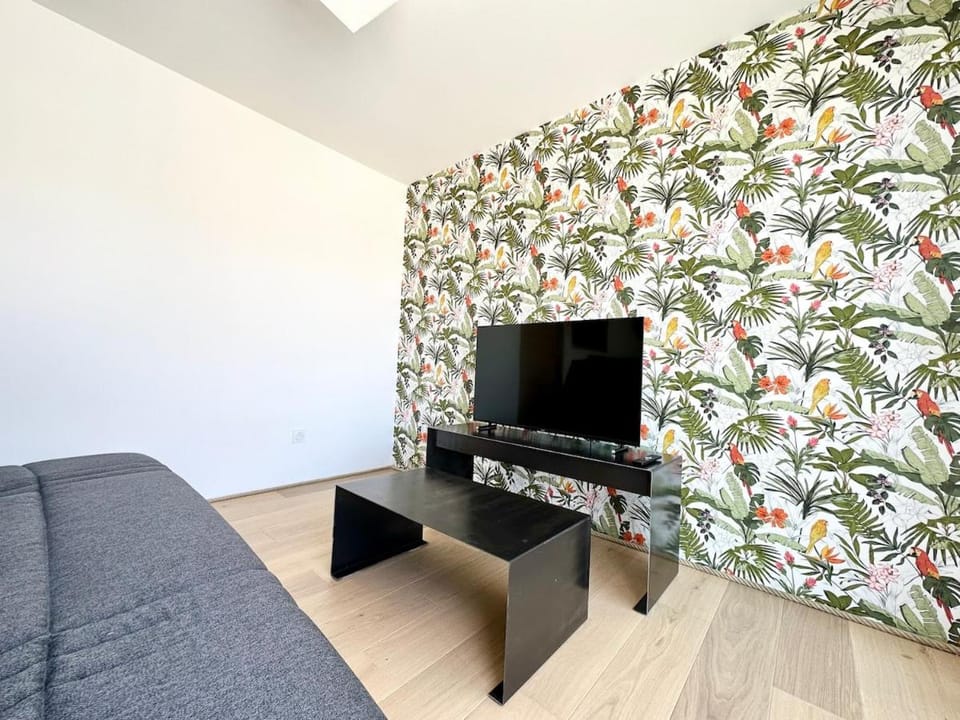 Sous Les Tropiques - Clim - Parking - Central Apartment in Mont-de-Marsan