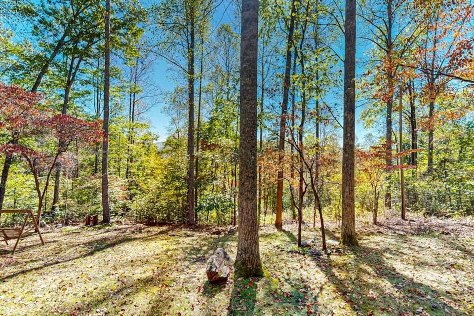 Carrie’s Cabin Cabin in Tennessee