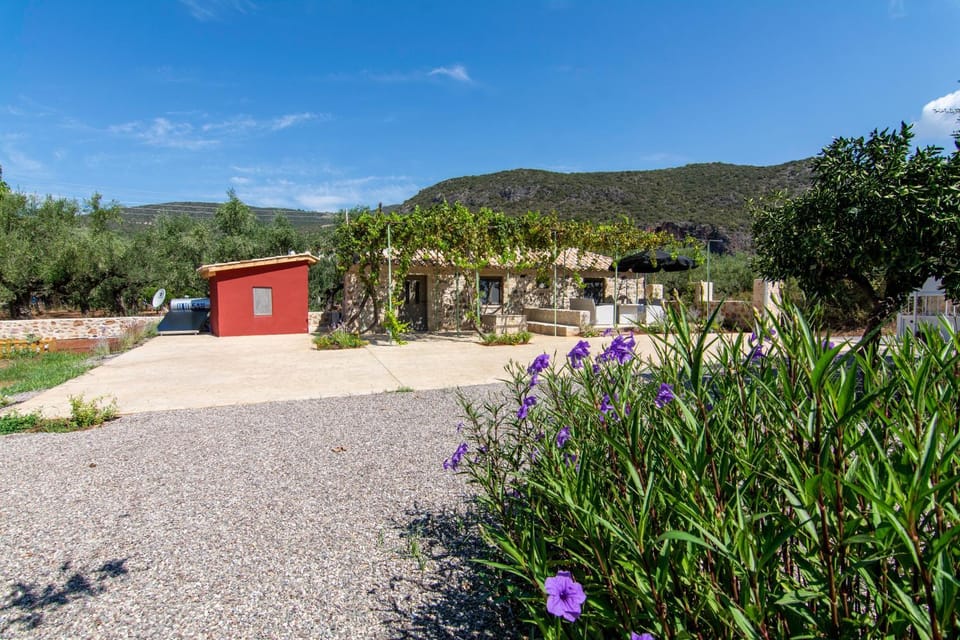 Natural landscape, Garden, Garden view, Mountain view