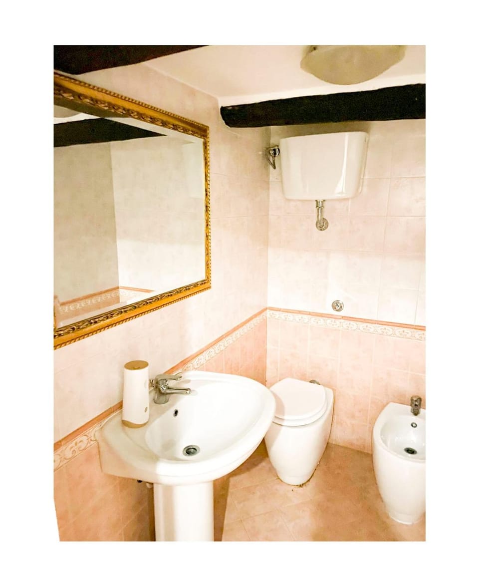 Shower, Toilet, Bathroom, bidet