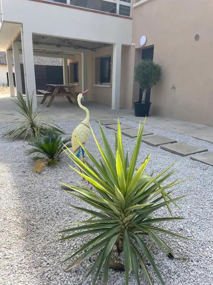 Garden view