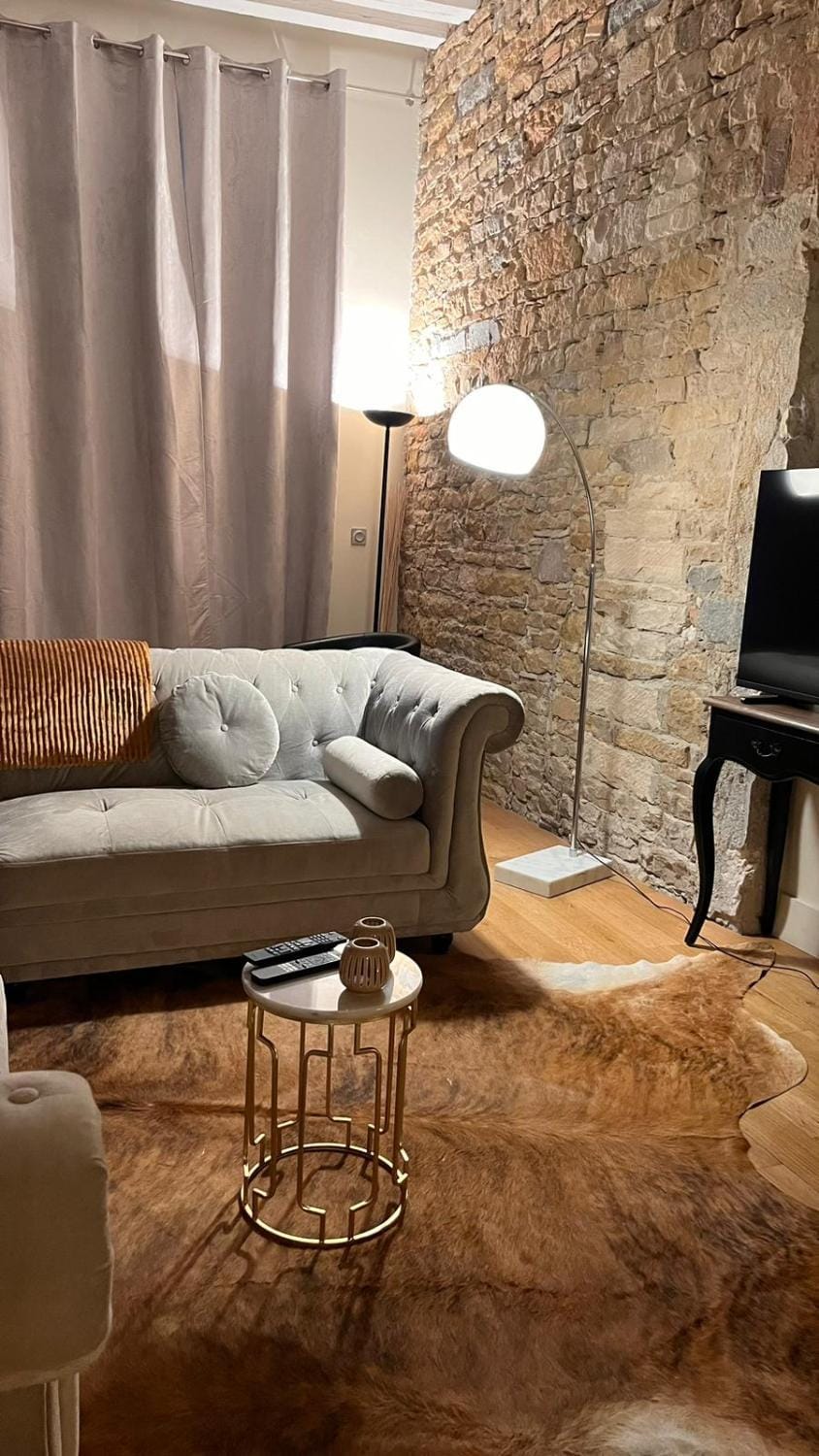 Le panorama Apartment in Lyon