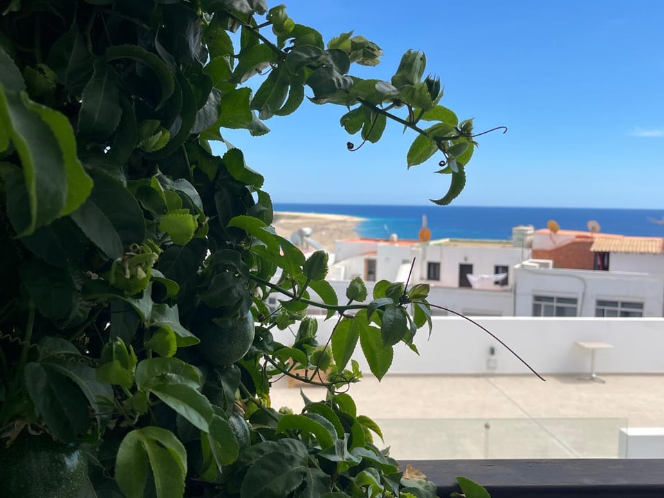 CASA VERDE con vista al mar Apartment in Morro Jable