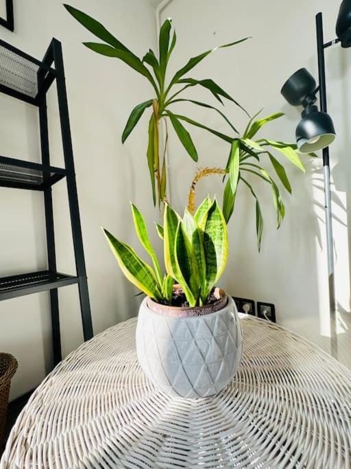 Le Saint Jean Apartment in Grand Est