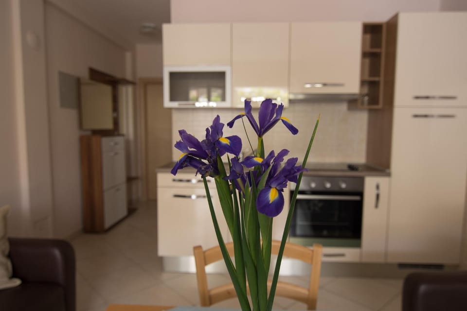 Kitchen or kitchenette, Dining area, oven, stove