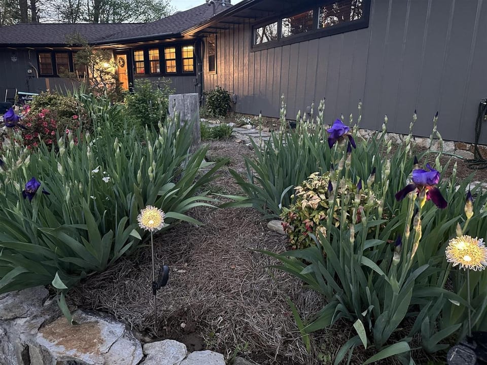 Smokey Vista Lodge House in Tennessee
