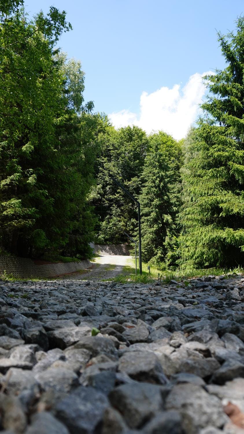 Natural landscape