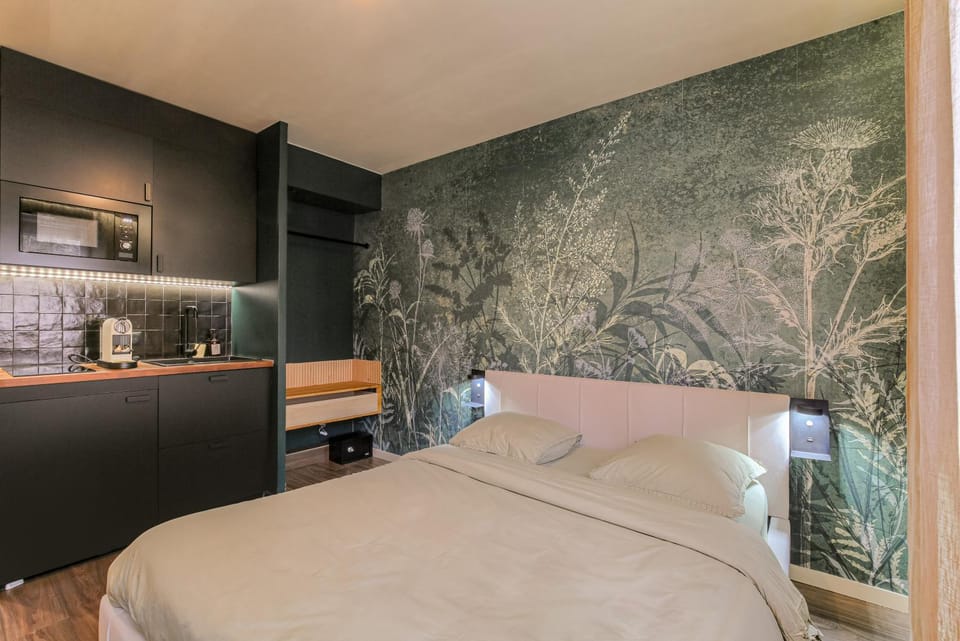 Suite avec Sauna privé proche Cité Internationale Apartment in Caluire-et-Cuire