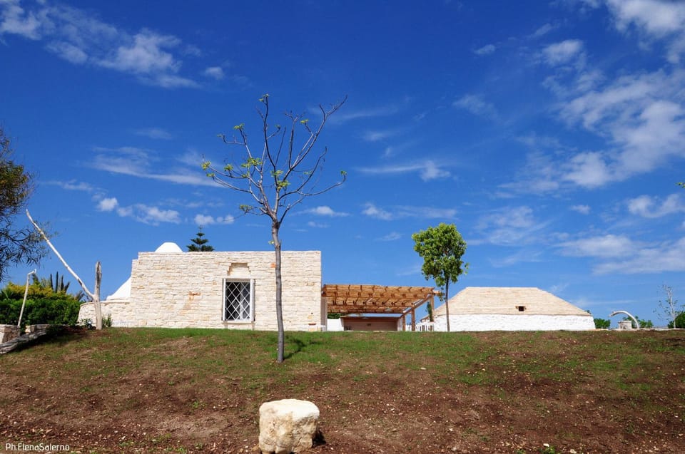 Natural landscape, Garden