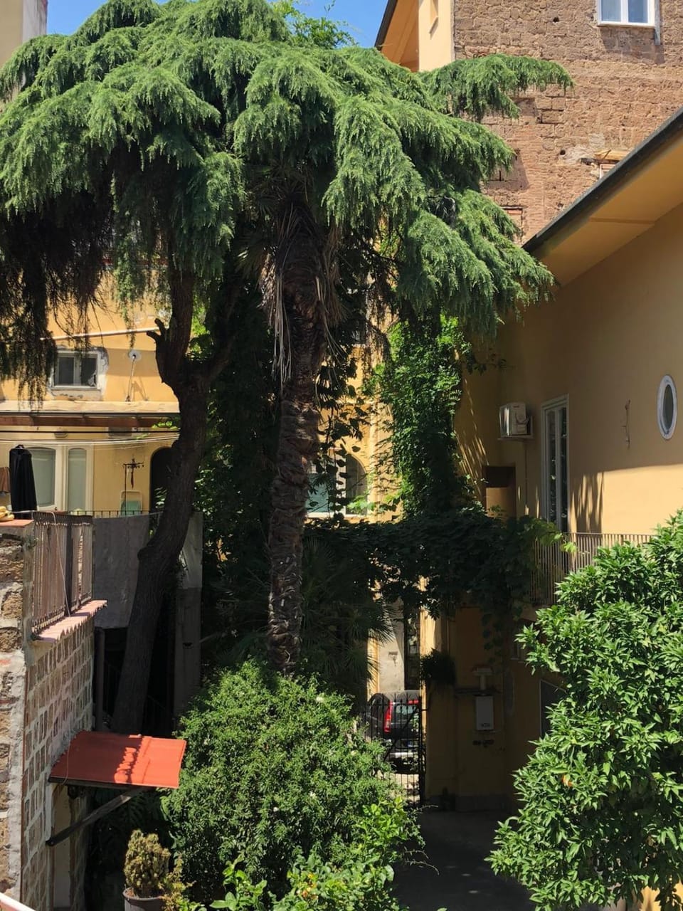 Summer, City view, Garden view, Inner courtyard view
