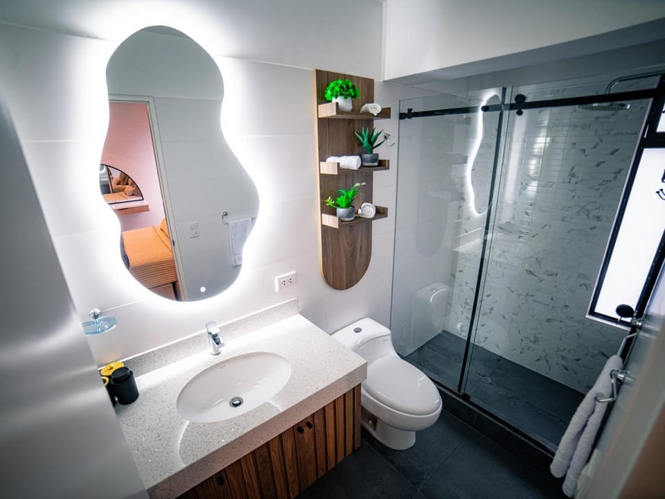 Shower, Toilet, Bathroom, Bath, towels