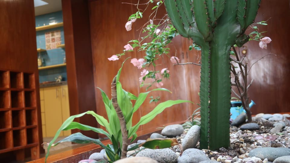 Garden view