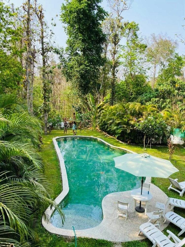 Natural landscape, Garden, Garden view, Pool view, Swimming pool, sunbed