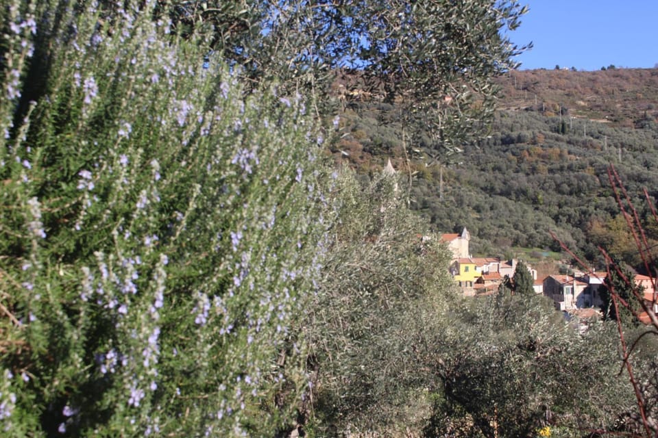 Nearby landmark, Natural landscape