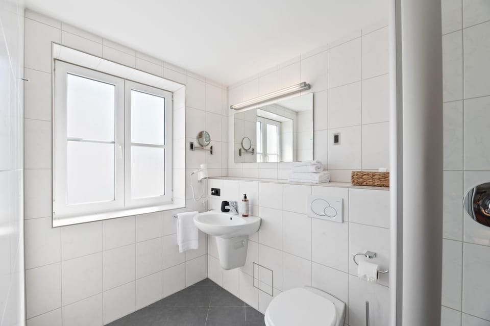 Toilet, Bathroom, towels
