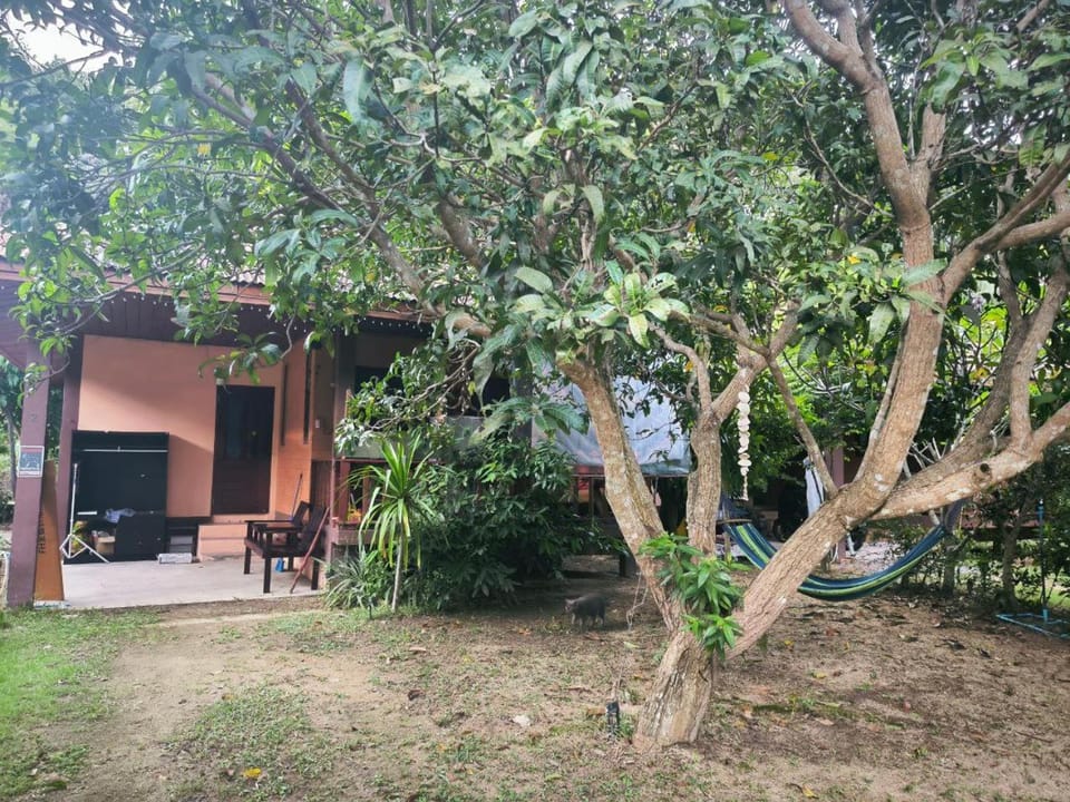 Property building, Garden
