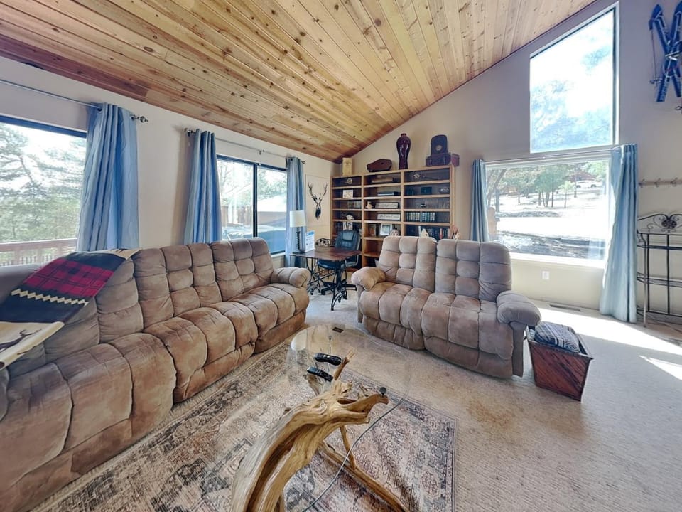Library, Living room, Seating area, furniture