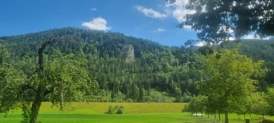 Gorshof Vacation rental in Upper Austria