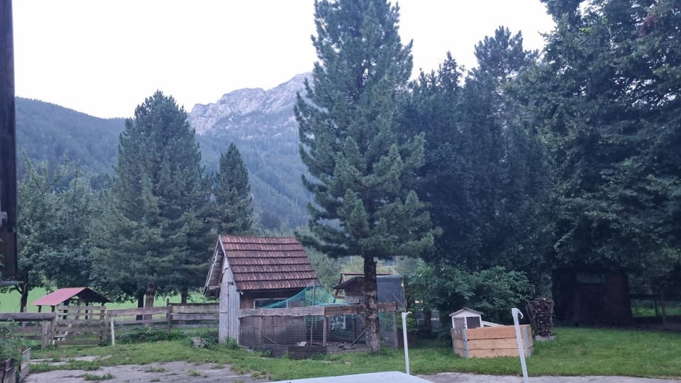 Gorshof Vacation rental in Upper Austria