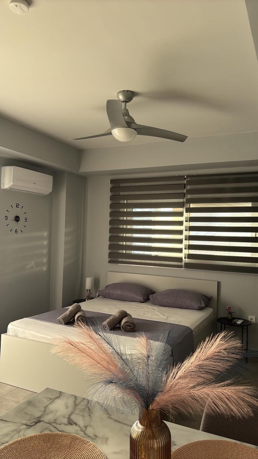 ThaniaS'S Studio 1 Apartment in Trikala