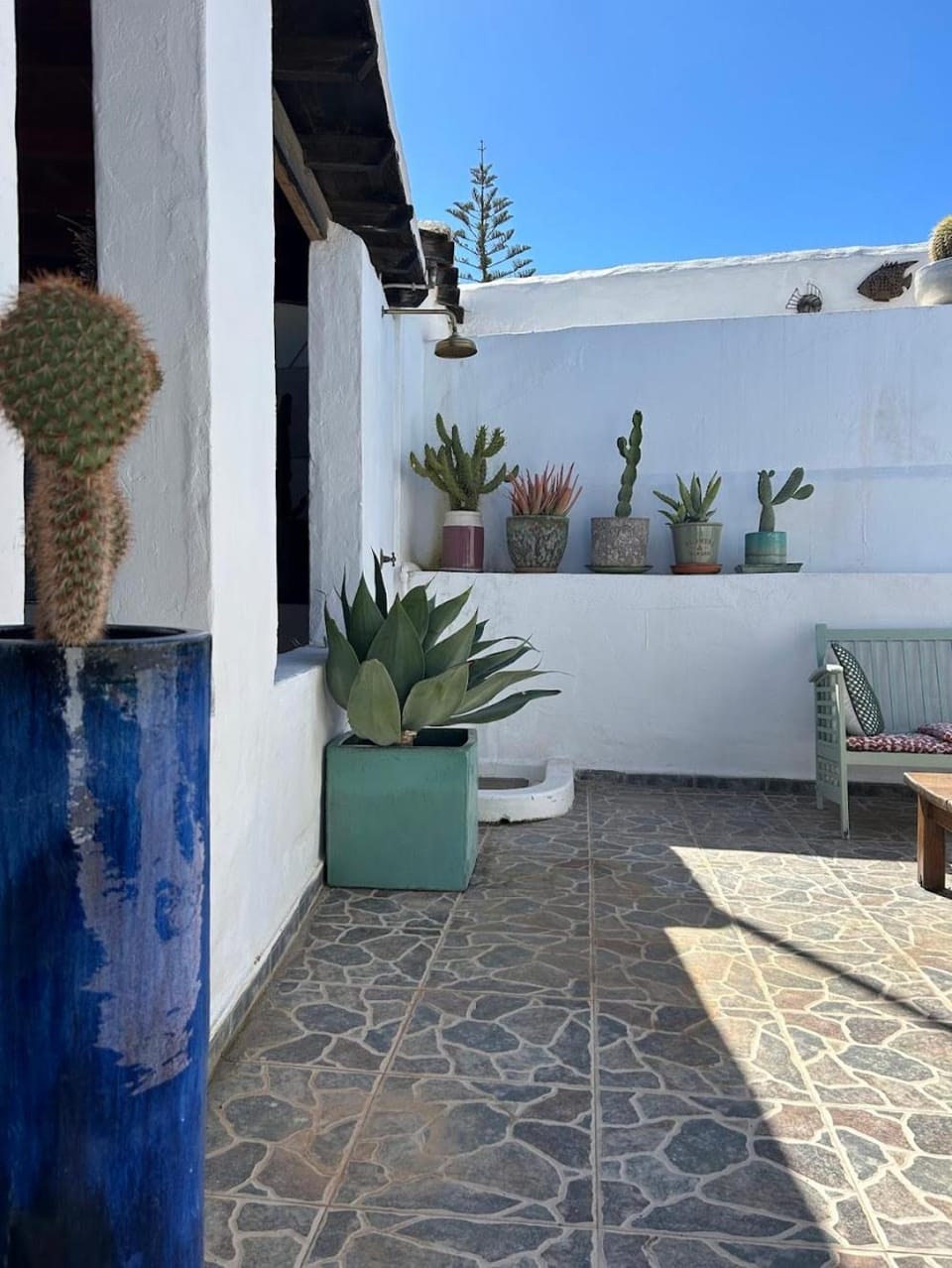 Patio, Balcony/Terrace