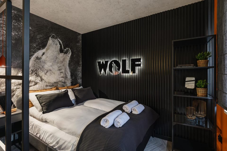 Apartament WOLF Apartment in Lesser Poland Voivodeship