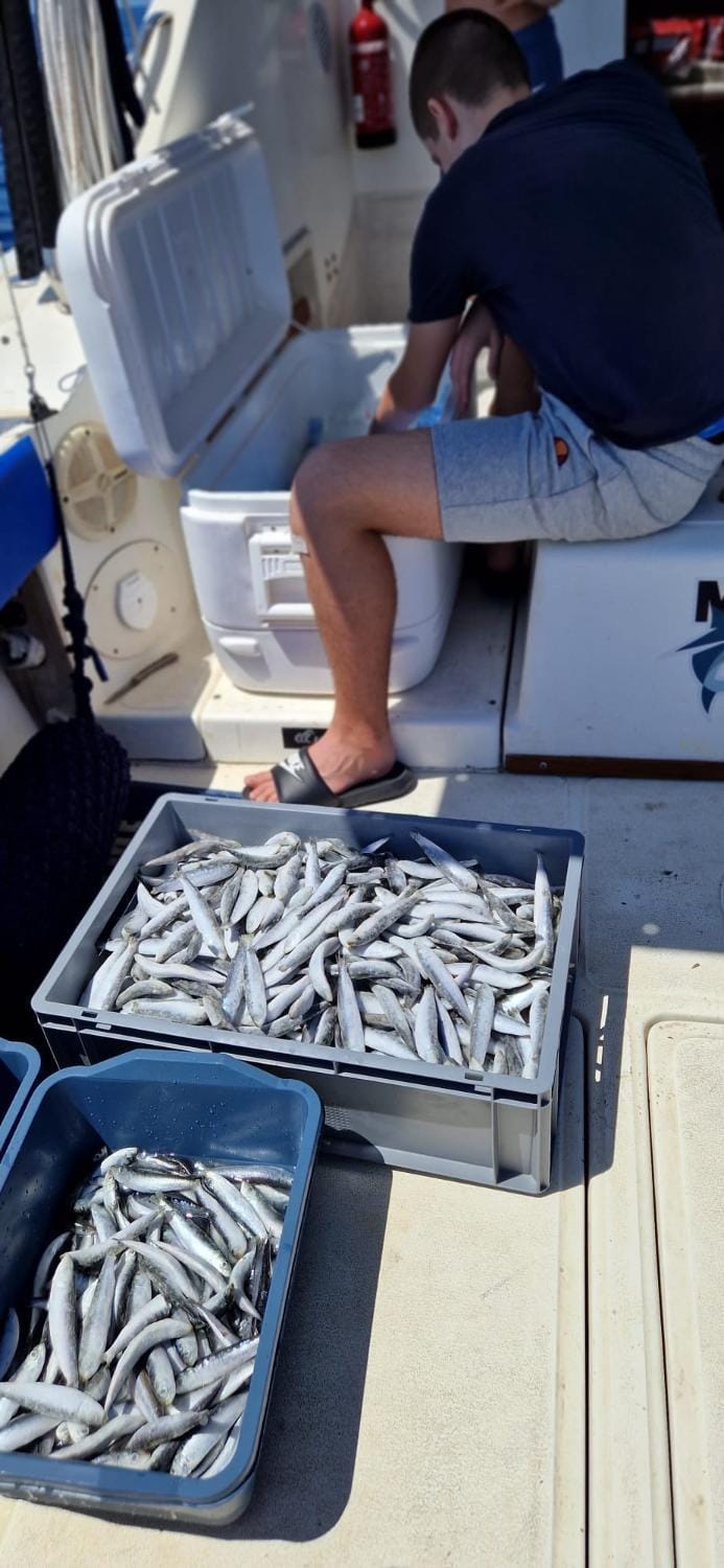 Fishing Chatrer -Big game-izleti brodom Docked boat in Šibenik-Knin County, Croatia