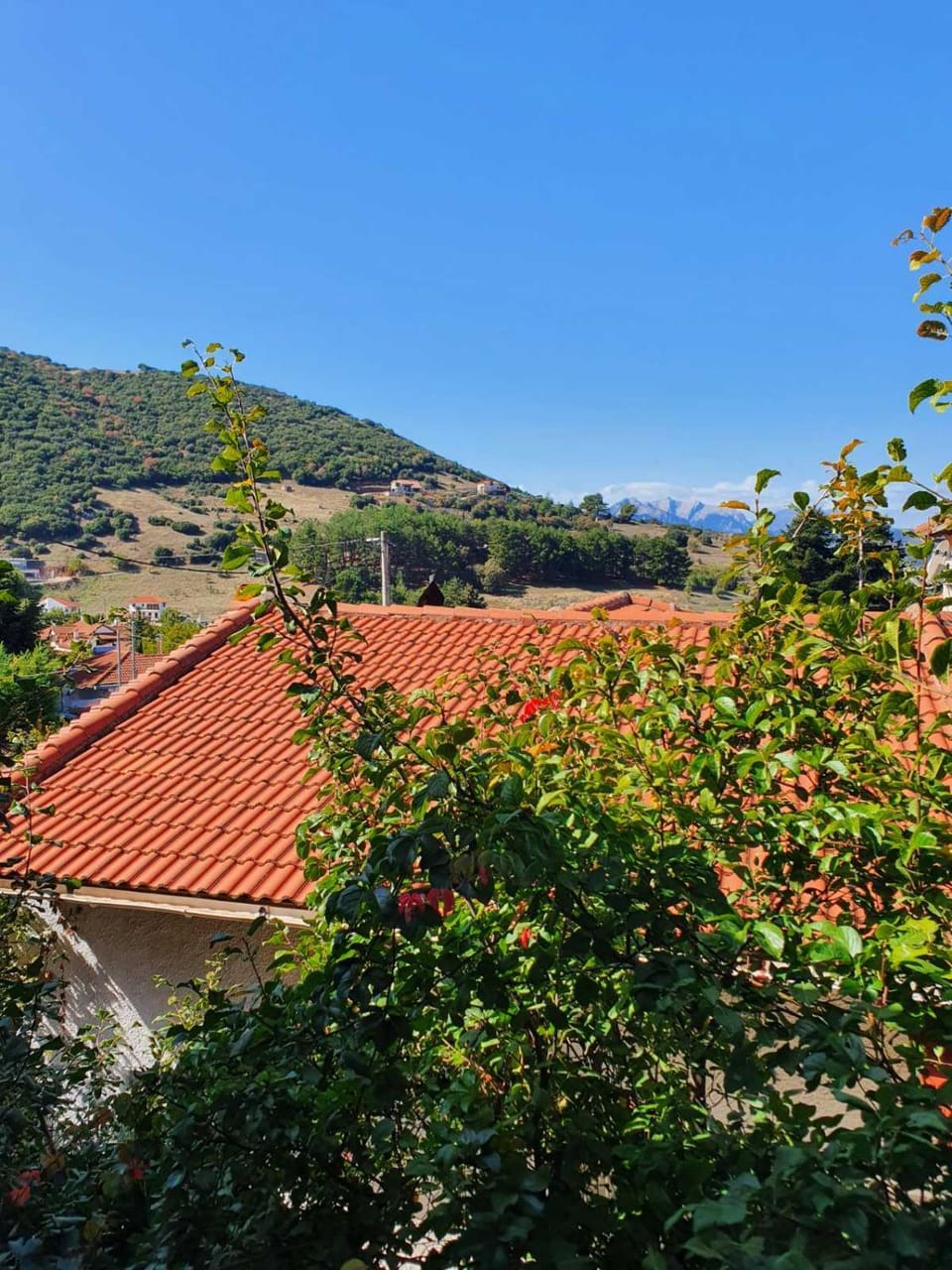 Mountain view