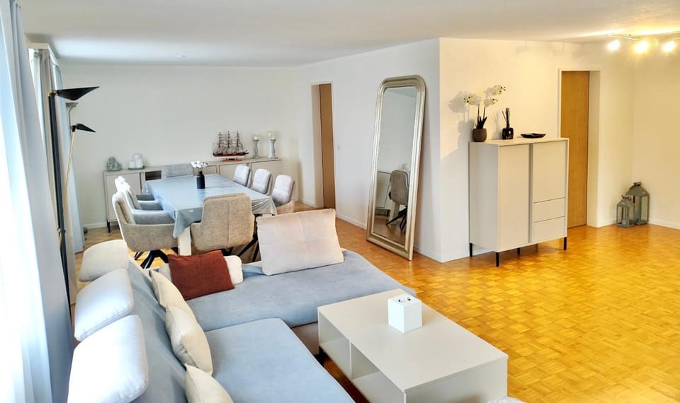 Spacious Cozy House for Groups & Families 2 Floors & free parking House in Winterthur