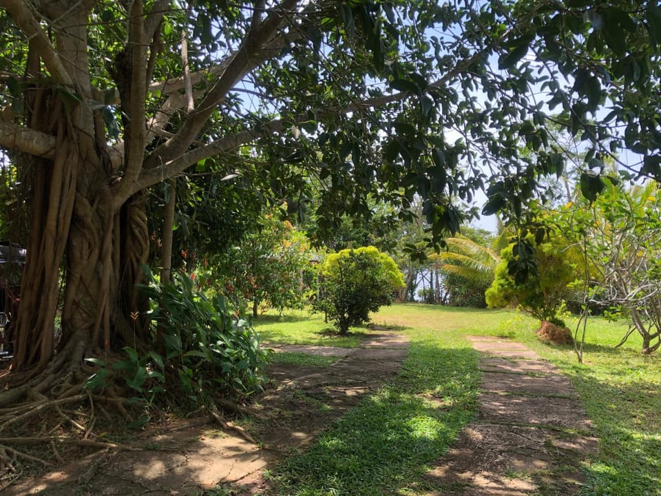 Natural landscape, Garden, Garden view