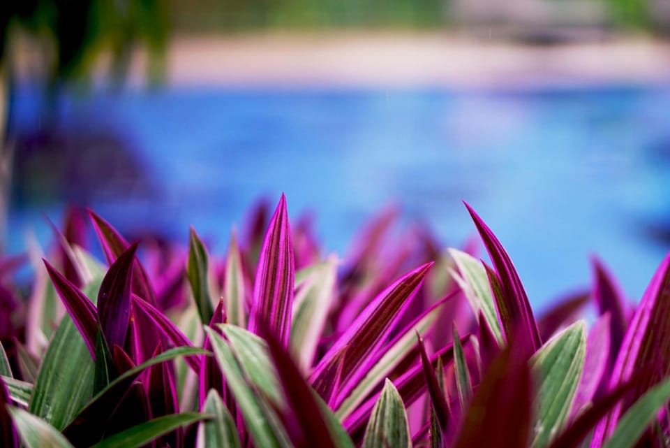 Natural landscape