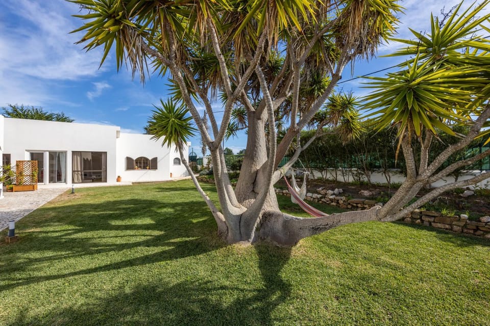 Property building, Garden, Garden view