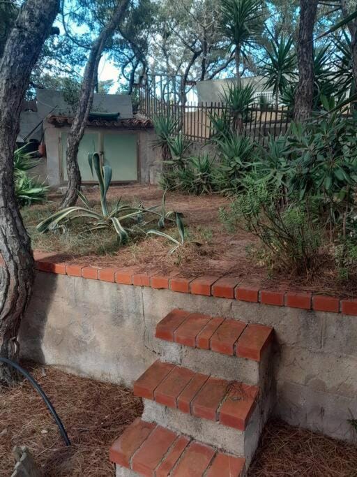 trilocale sul mare con giardino privato Apartment in Sardinia